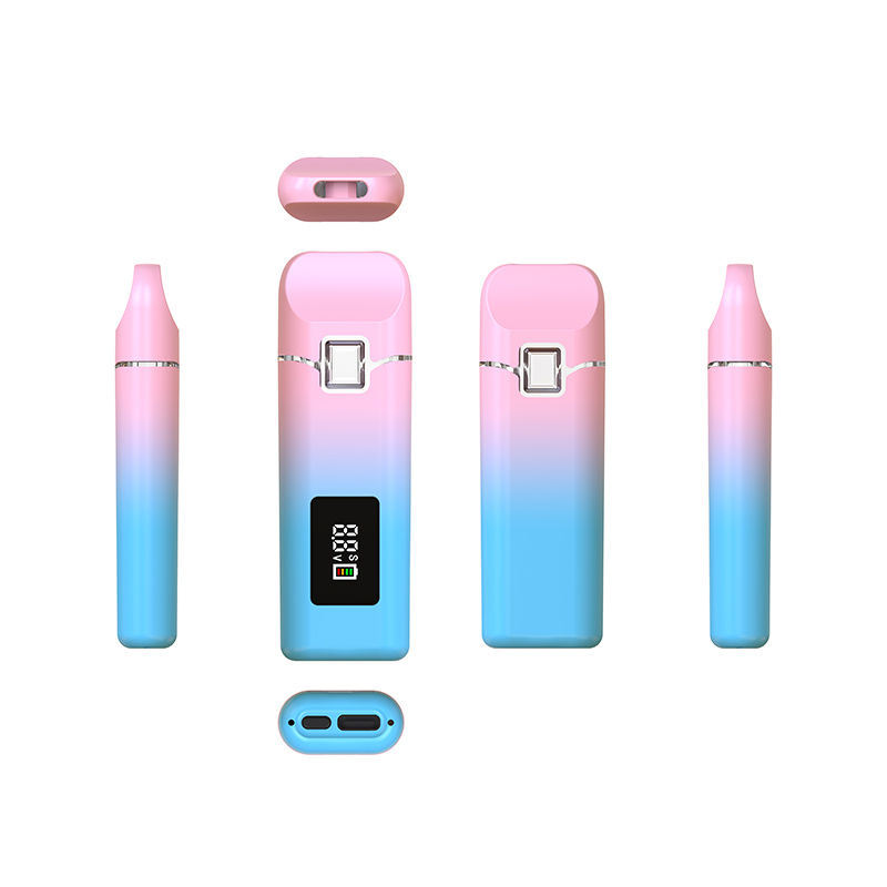 Disposable vape with screen